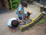 img0003.jpg