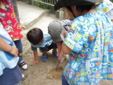 img0005.jpg