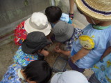 img0006.jpg