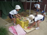 img0009.jpg