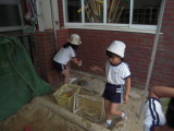 img0010.jpg