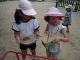 img0015.jpg