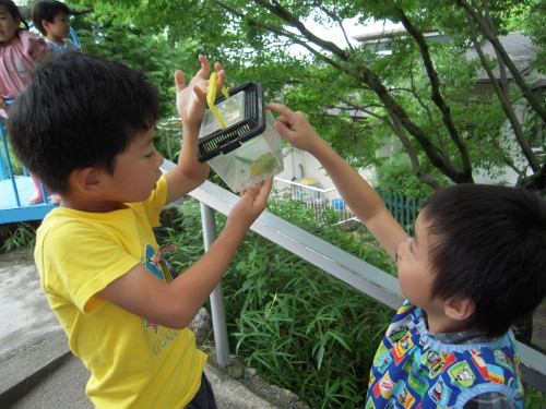 img0000.jpg