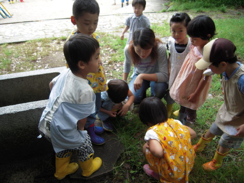 img0011.jpg