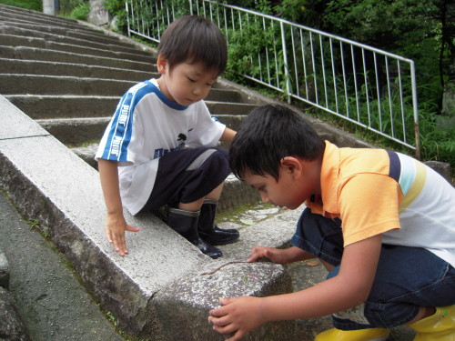 img0020.jpg