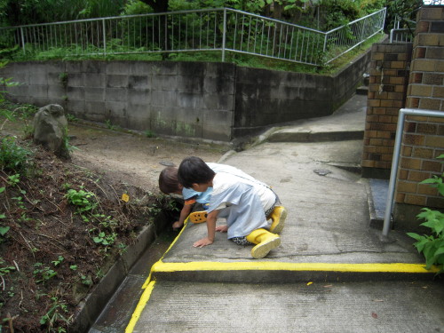 img0040.jpg