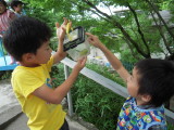 img0000.jpg
