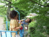 img0002.jpg