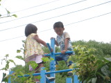 img0003.jpg
