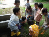 img0011.jpg