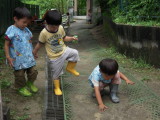 img0017.jpg