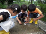 img0019.jpg