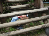 img0031.jpg