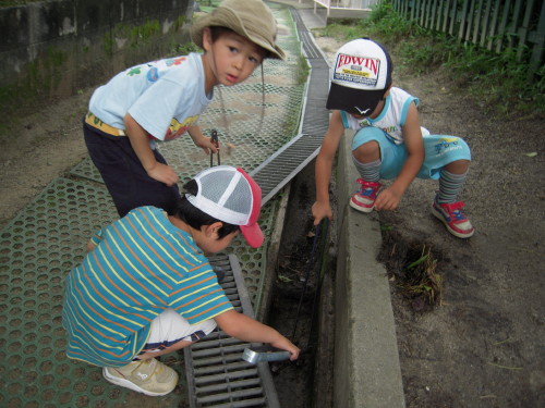 img0011.jpg