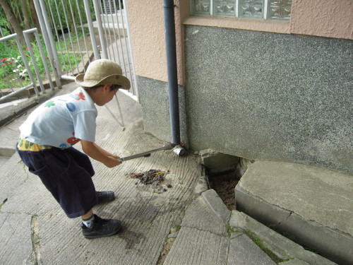 img0012.jpg