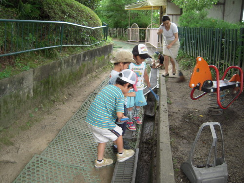 img0013.jpg