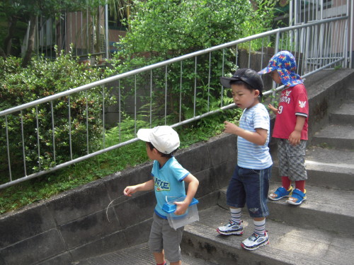 img0017.jpg