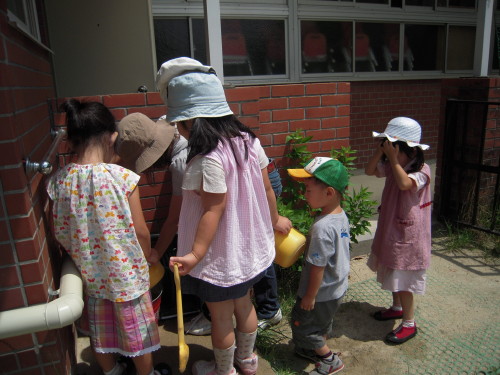 img0019.jpg