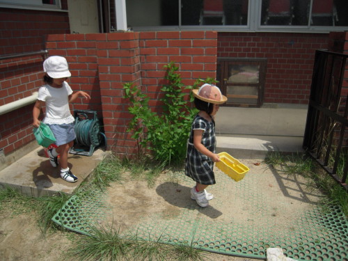 img0020.jpg