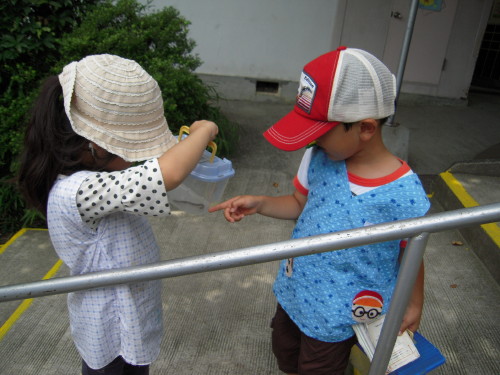 img0028.jpg