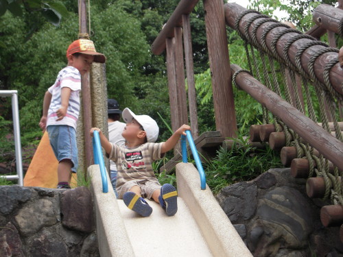 img0031.jpg