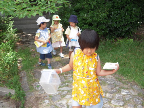 img0037.jpg