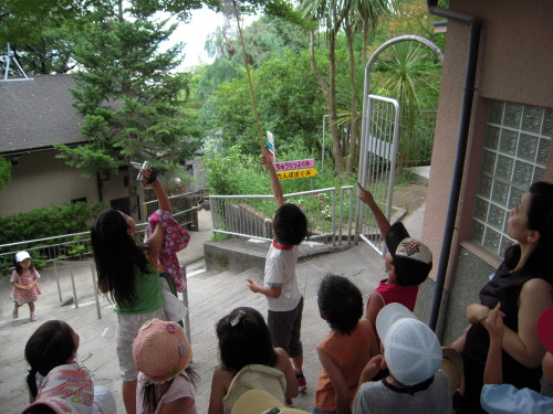 img0049.jpg
