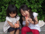 img0009.jpg