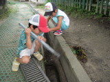img0010.jpg