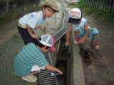 img0011.jpg