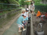 img0013.jpg