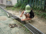 img0014.jpg