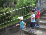 img0017.jpg