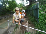 img0018.jpg