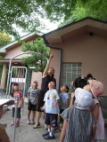 img0025.jpg