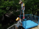 img0038.jpg