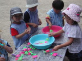 img0008.jpg