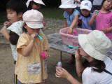 img0009.jpg