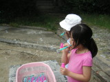 img0010.jpg