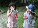img0012.jpg