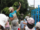 img0019.jpg