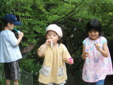 img0026.jpg