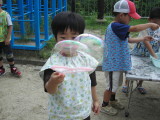 img0031.jpg