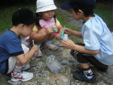 img0033.jpg