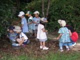 img0006.jpg