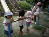 img0010.jpg