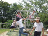 img0013.jpg