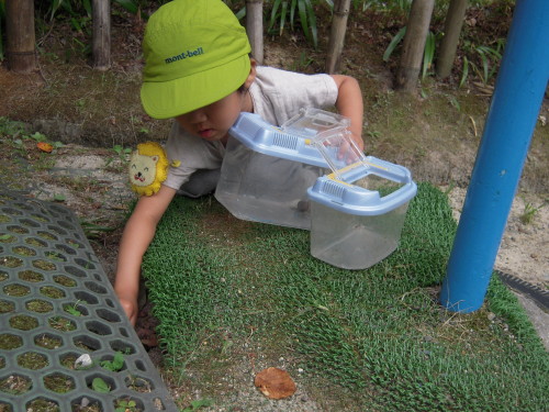 img0027.jpg