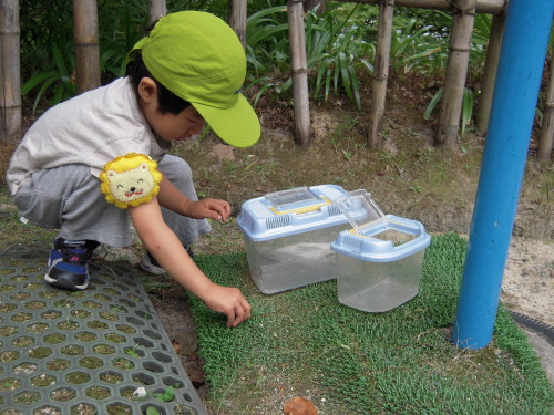 img0034.jpg