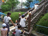 img0010.jpg